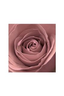 Rose 8 x 12 inch